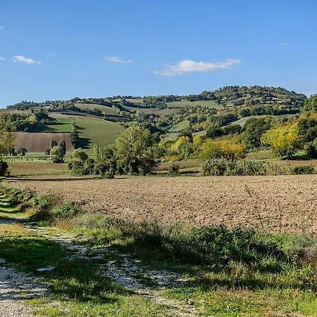 Marghelisa * Ancona